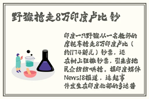 69xxxx国际